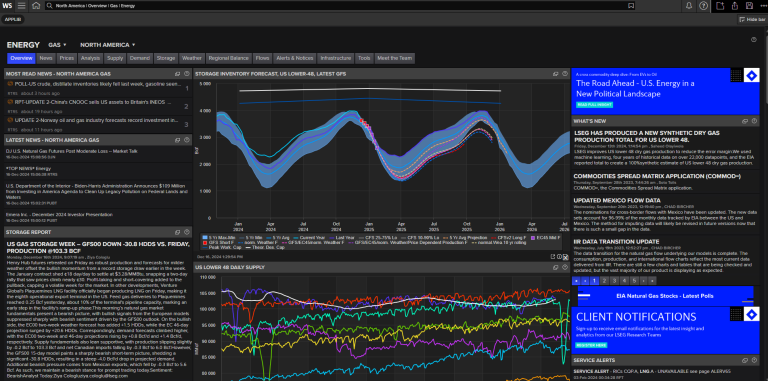 LSEG Commodities Energy: Insights & Data for Markets | Data Analytics