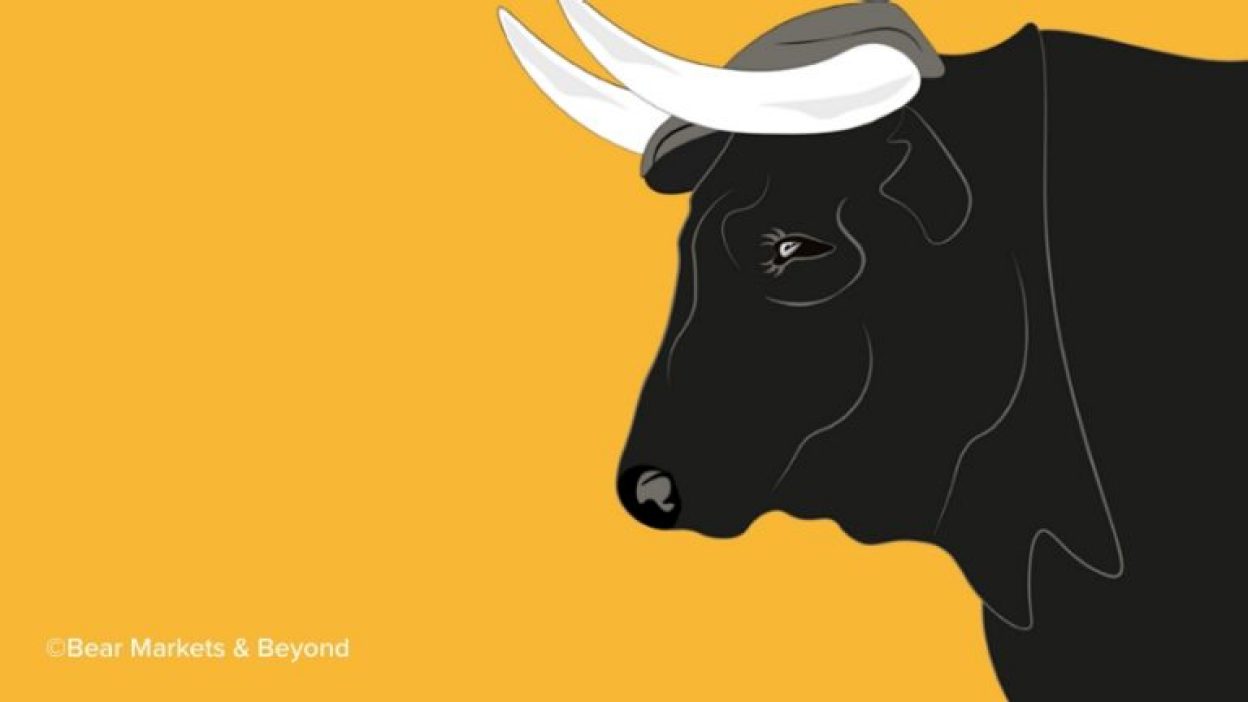 Bull
