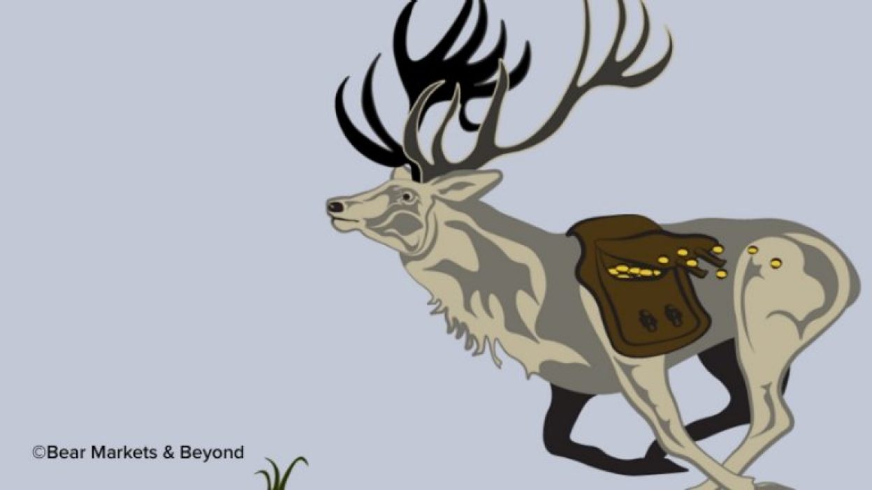 Stag